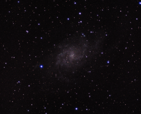 M33